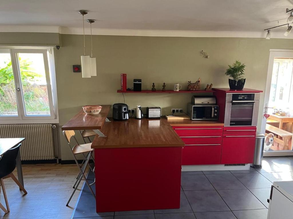 Chez Lulu - Maison au calme à Kaysersberg – photo 23