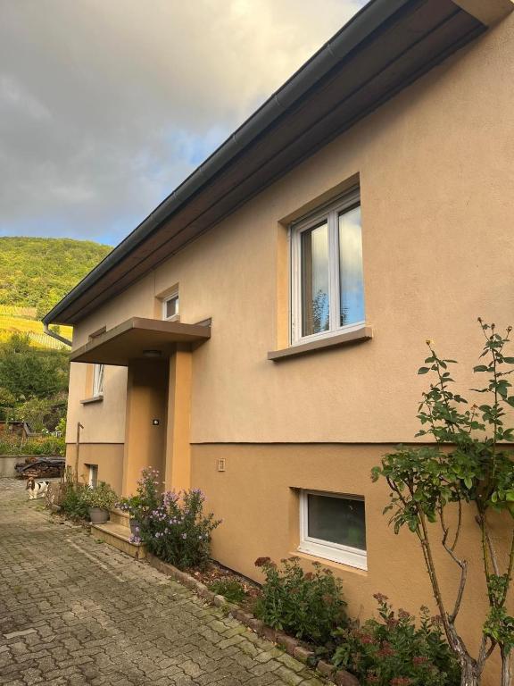 Chez Lulu - Maison au calme à Kaysersberg – photo 11