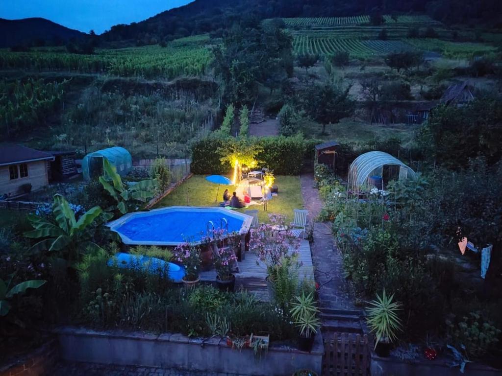 Chez Lulu - Maison au calme à Kaysersberg – photo 16
