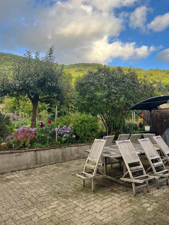 Chez Lulu - Maison au calme à Kaysersberg – photo 19