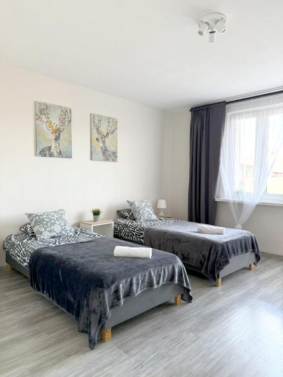 En eller flere senge i et værelse på 03 Gdynia Centrum - Apartament Mieszkanie dla 2 os