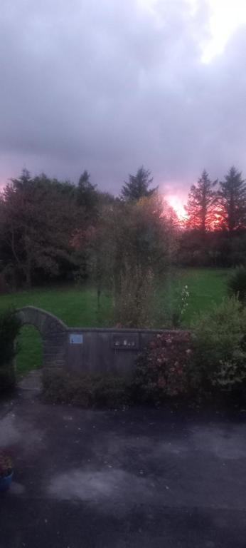 a view of a garden with the sunset in the background at Elder Grove House in Castleisland