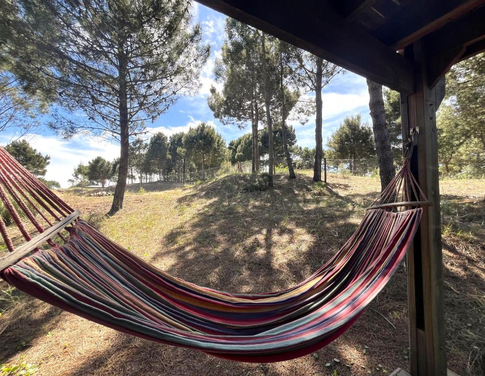 eine Hängematte auf einem Feld mit Bäumen im Hintergrund in der Unterkunft Cabaña Meliades - Bosque & Calma en Familia - Ayres Del Bosque Alojamientos in Ostende