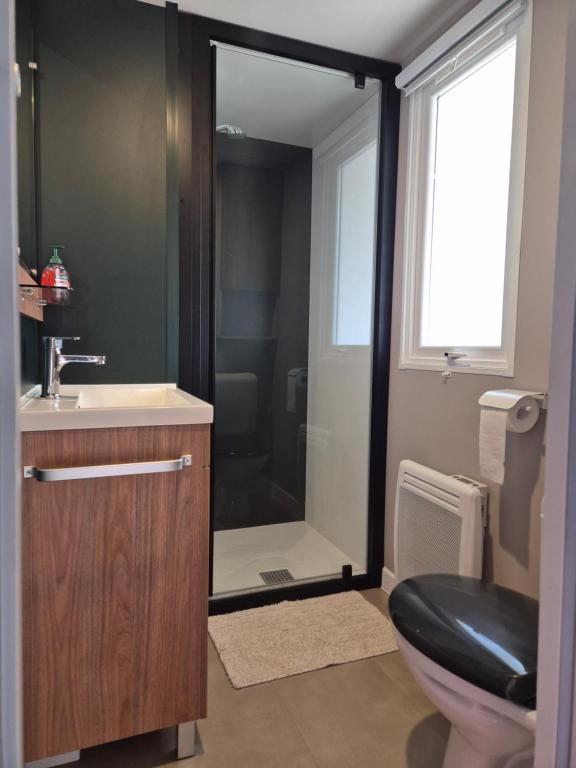 a bathroom with a shower and a toilet and a sink at MH365 2 chambres avec suite parentale et 2 salles de bain 40m2 dans camping 4 étoiles in Saint-Julien-en-Born