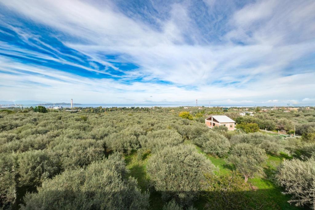 an overhead view of a field of trees with a house at Casa Sapio vista mare in Pace Inferiore