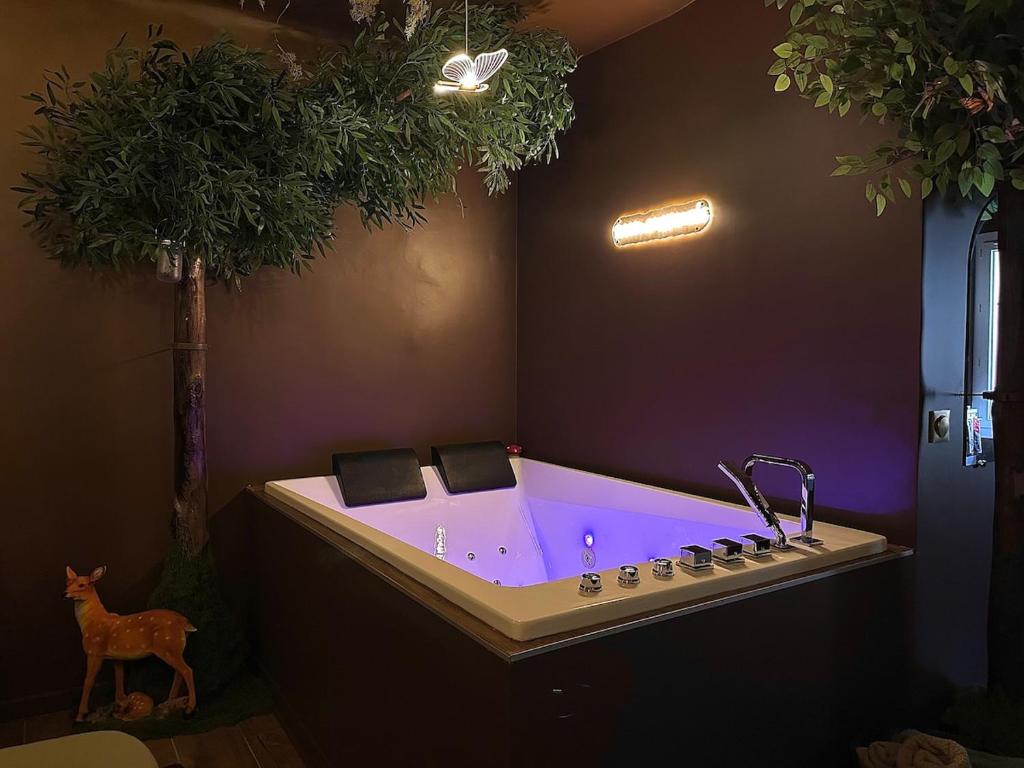 Φωτογραφία από το άλμπουμ του Suite Love Room enchantée avec Balnéo, Var σε Ollioules