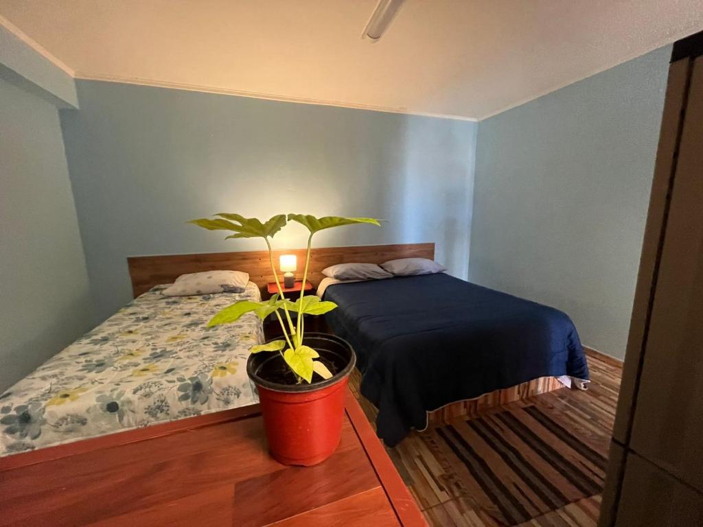 Ένα ή περισσότερα κρεβάτια σε δωμάτιο στο Hostal Piedras Rojas