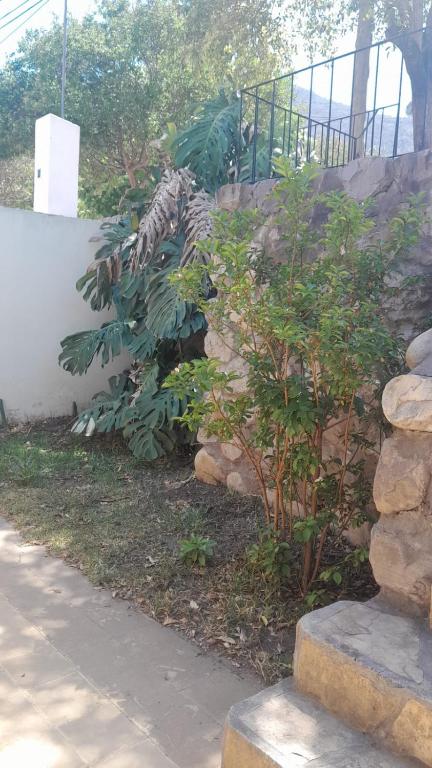 einen Garten mit einer Steinmauer und einer Pflanze in der Unterkunft Casa con jardín y vista al cerro en Portezuelo Salta in Salta