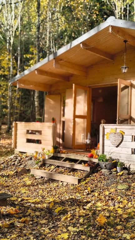 una cabaña en el bosque con hojas en el suelo en HeartSPAce Taszów, en Taszów