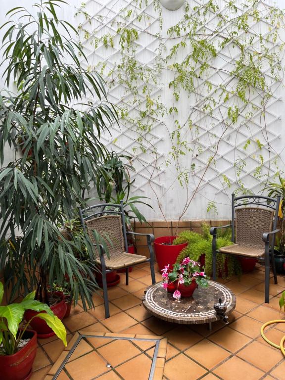 Un Patio al Sur - Resim 31