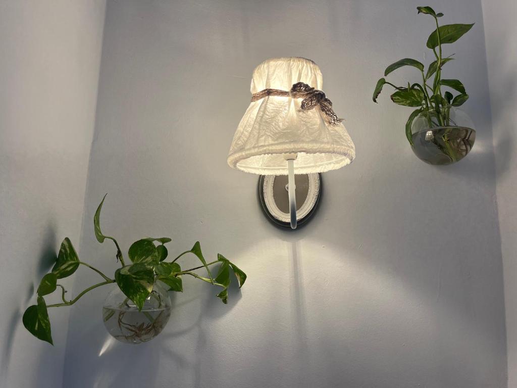 Un Patio al Sur - Resim 23