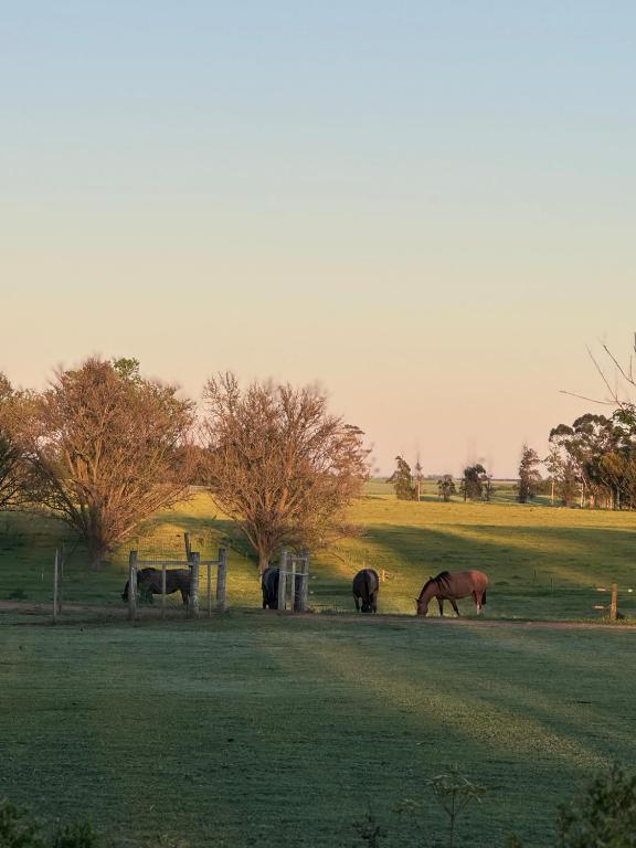 El Caburé - Casa de Campo