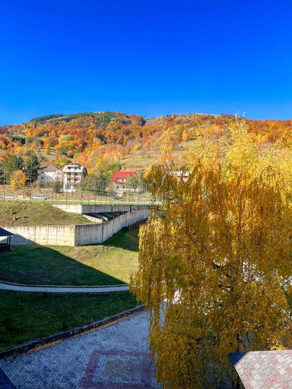 Hotel Junior - Resim 3