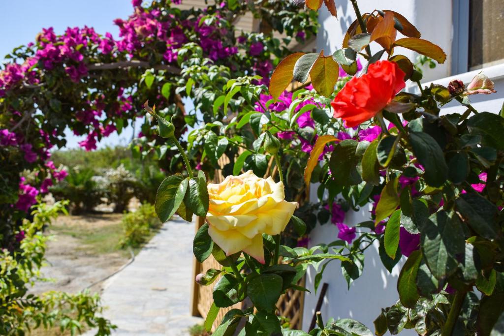 Infinity Apartments - 11