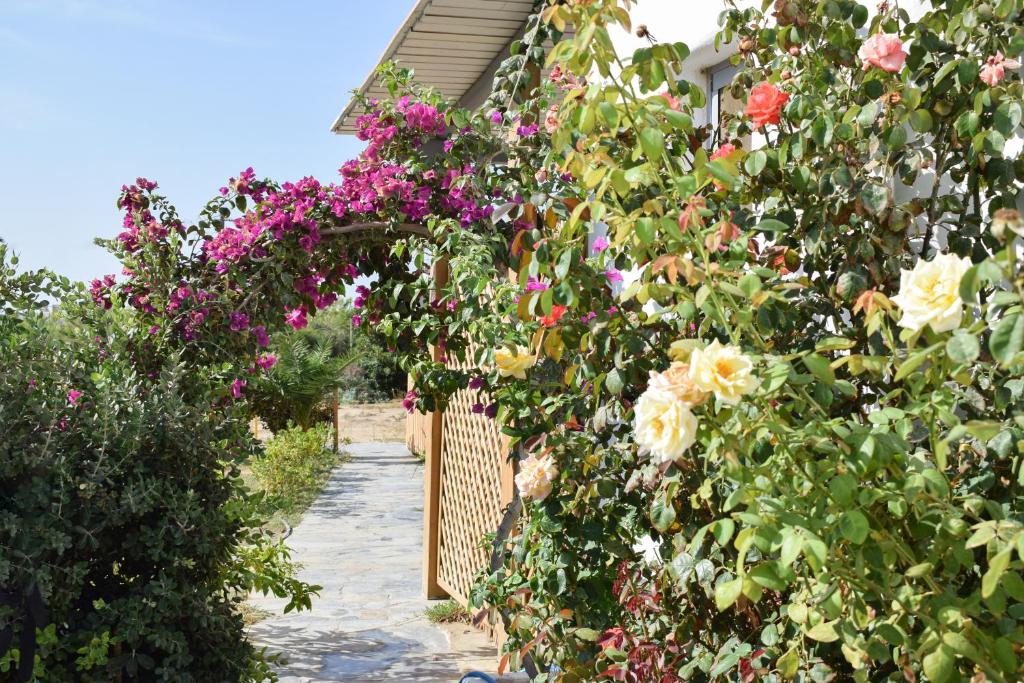 Infinity Apartments - 10