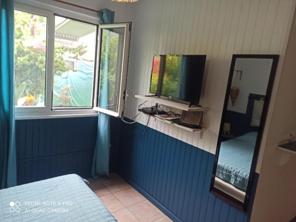 Cette chambre comprend un lit, un miroir et une télévision. dans l'établissement Cascade et Paille-en-queue - Studio, à Hell-Bourg