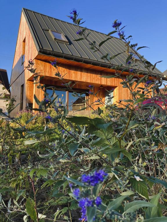 a house with a solar roof on top of a hill at Chaty Jagi in Czorsztyn