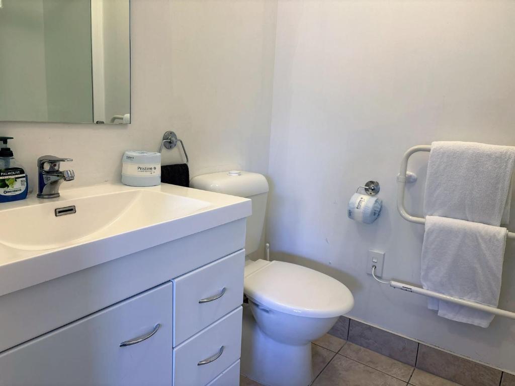 Ascot Motor Lodge - Resim 40