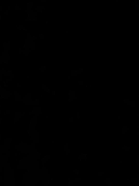 a dark room with a black background at Hotel Villa Nunziante Pompei in Scafati