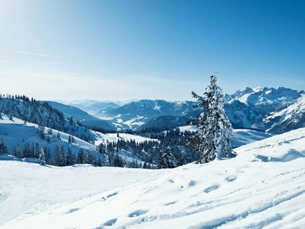 Foto dalla galleria di Galsterberg a Gröbming