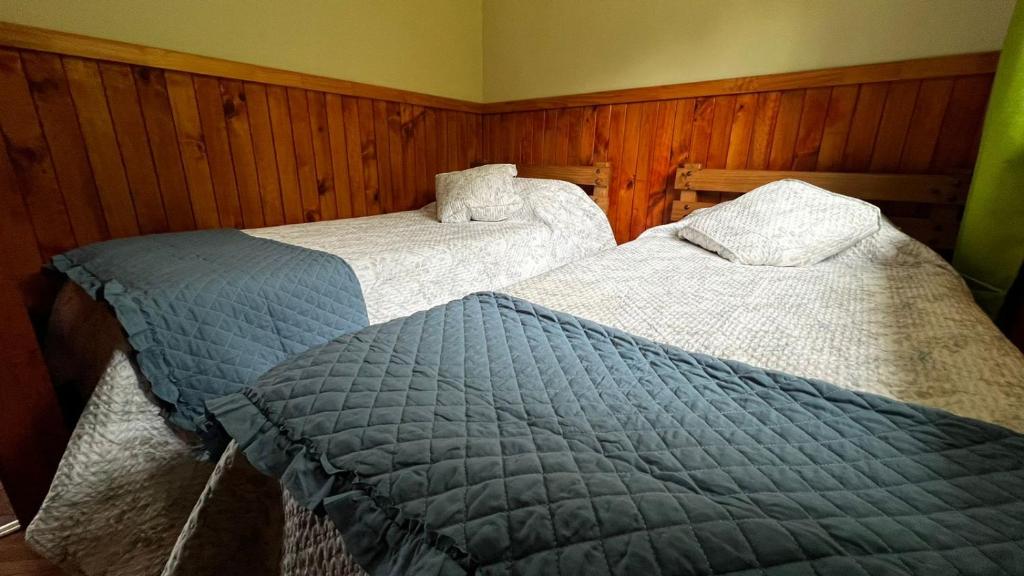 Cabañas Alto Caburgua