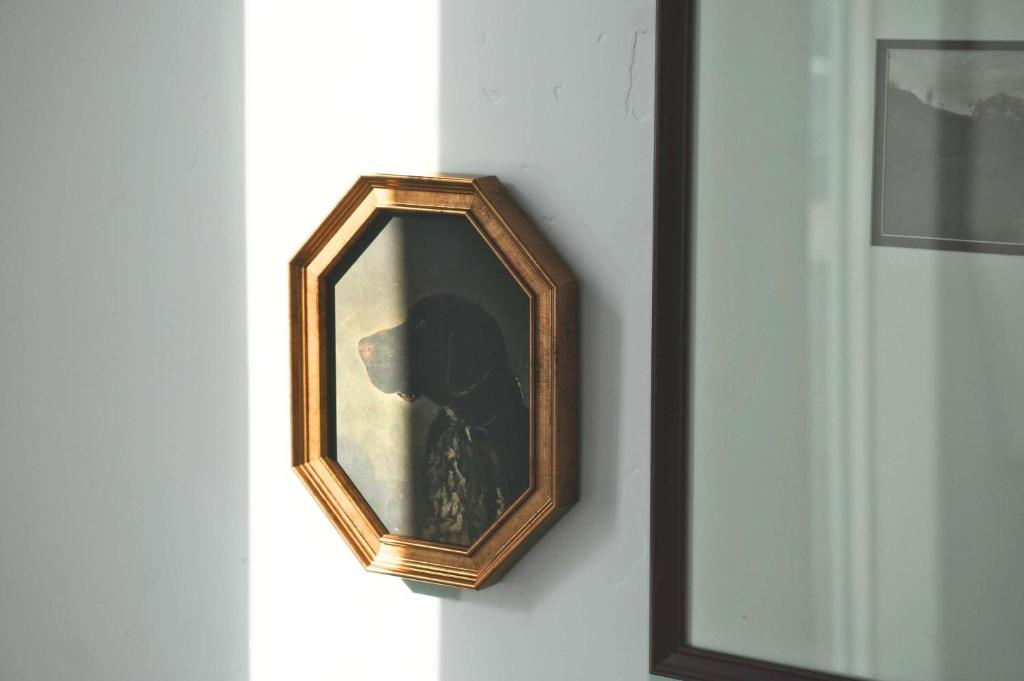 a mirror hanging on a wall next to a window at Charming Centrally Located Treasure Valley Custom in Nampa