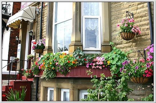 uma janela com flores e plantas numa casa em Belle View em Skegness