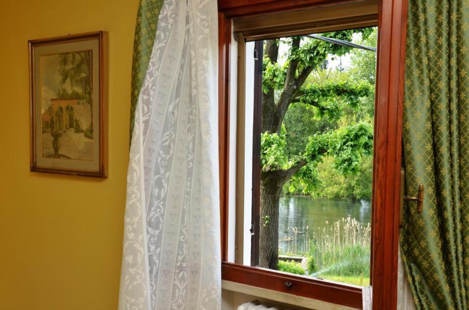Ogród w obiekcie B&B La Pescadora
