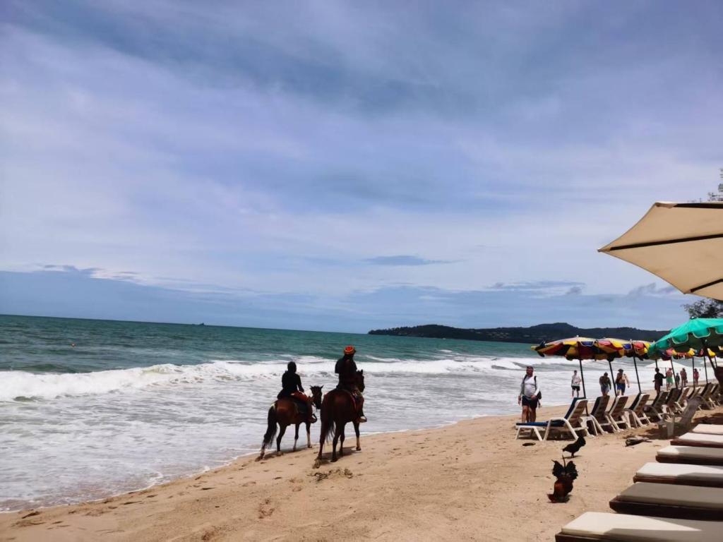 المناظر الطبيعية بالقرب من مكان التخييم