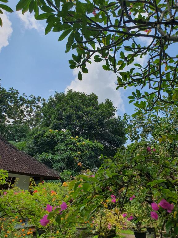 a view of a garden with trees and flowers at GYANA House in Ubud