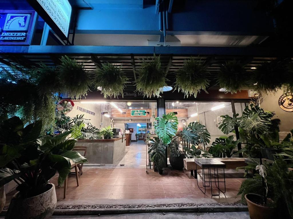 B House Chiang Mai Thailand - Resim 5