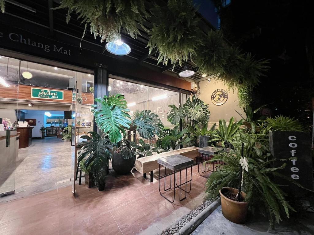 B House Chiang Mai Thailand - Resim 43