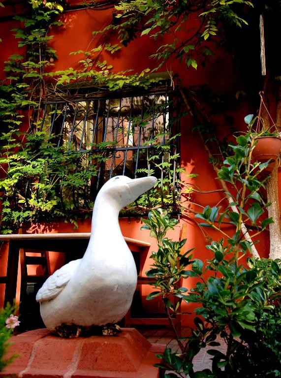 Fotografie z fotogalerie ubytování Şebnem Hotel v destinaci Istanbul