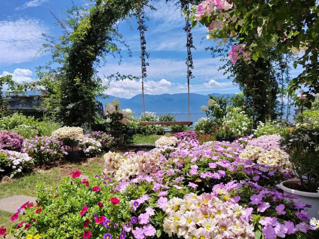 a garden of flowers with mountains in the background at Dali Sky & Erhai Sea View Holiday Inn in Dali Shuanglang
