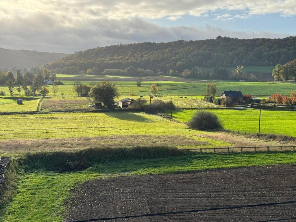 un prato verde con una collina sullo sfondo di Nouvel appartement très confortable avec cuisine et frigo ad Anhée