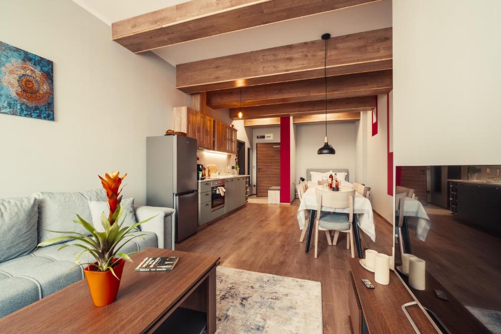 サモコフにあるRila Zen Apartmentのソファとテーブルのあるリビングルーム