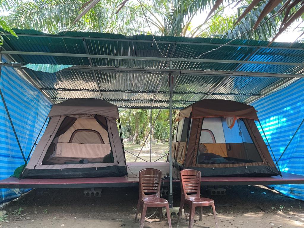 Khaosok August Freedom Camp - 19