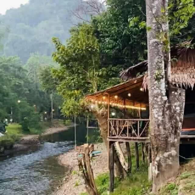 Khaosok August Freedom Camp - 14