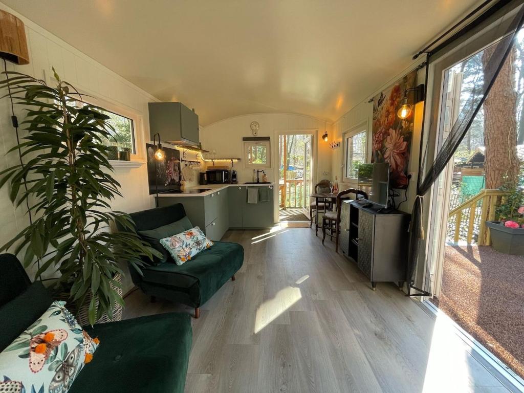 拉纳肯The Butterfly - Forest - Dog - Maastricht的带绿色沙发的客厅和厨房