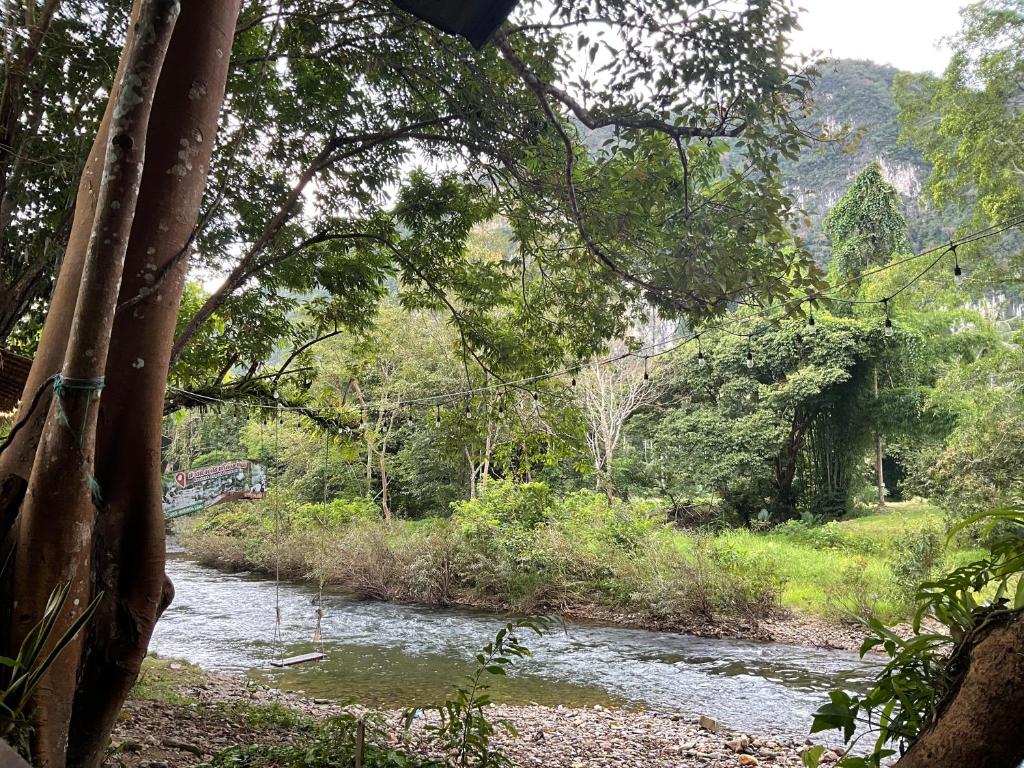 Khaosok August Freedom Camp - 8