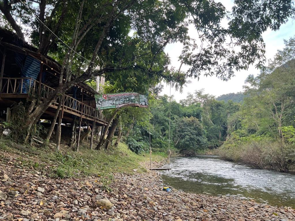 Khaosok August Freedom Camp - 11