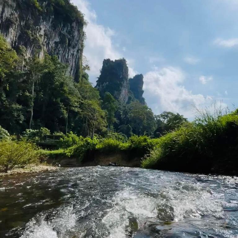 Khaosok August Freedom Camp - 4