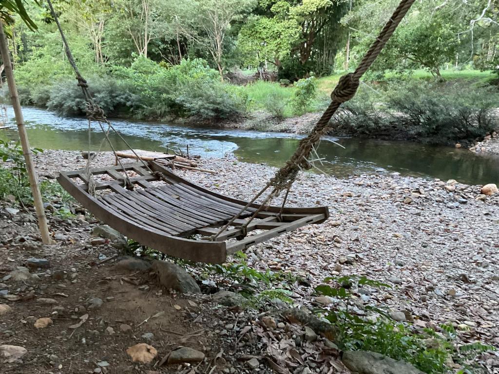 Khaosok August Freedom Camp - 3