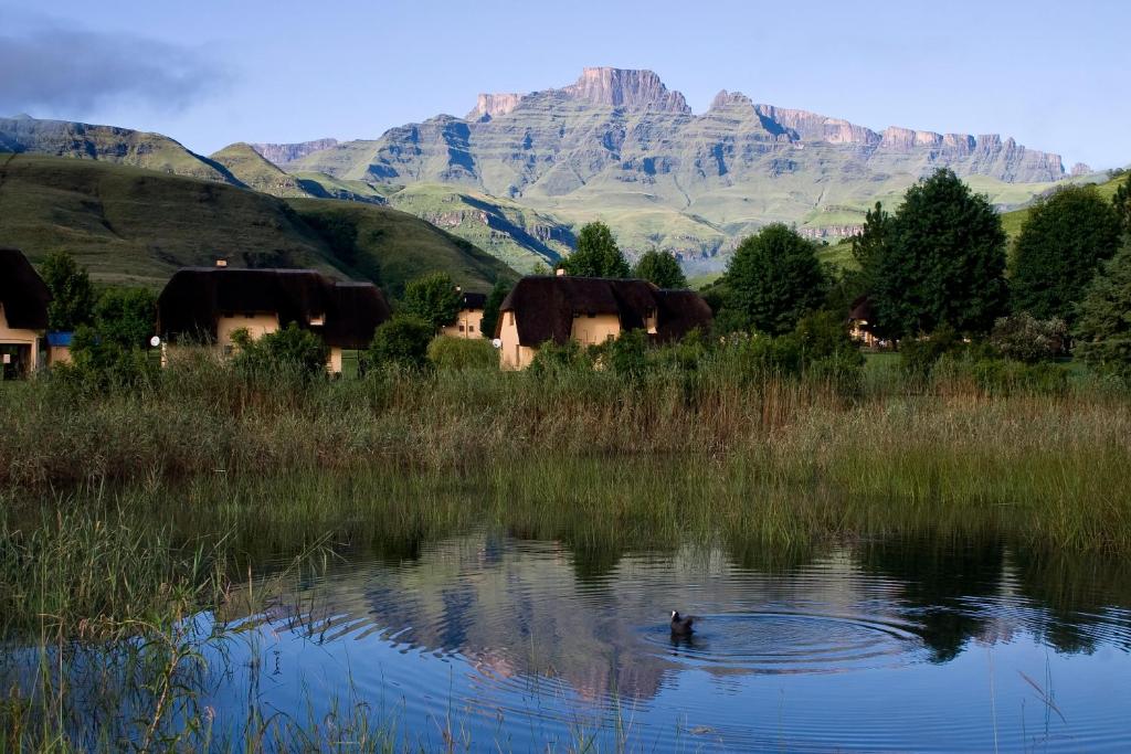 a duck swimming in a pond with mountains in the background at 20 Mount Champagne in Champagne Valley