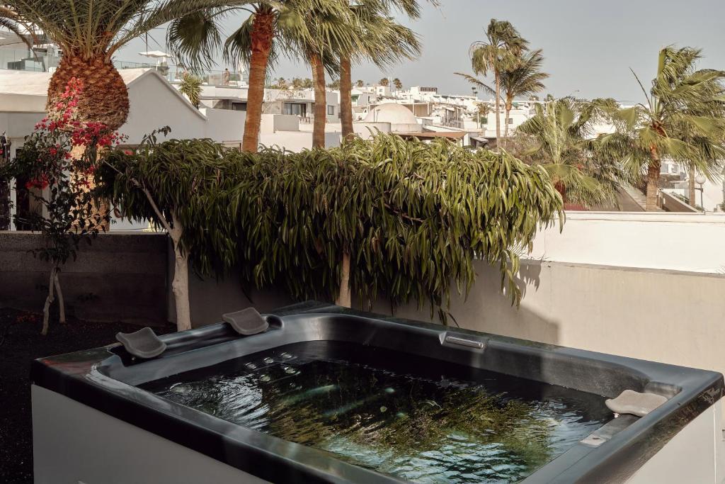 La Isla y el Mar, Hotel Boutique - 5