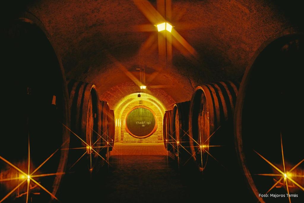 Fotografie z fotogalerie ubytování Grape&Wine Guesthouse v destinaci Eger