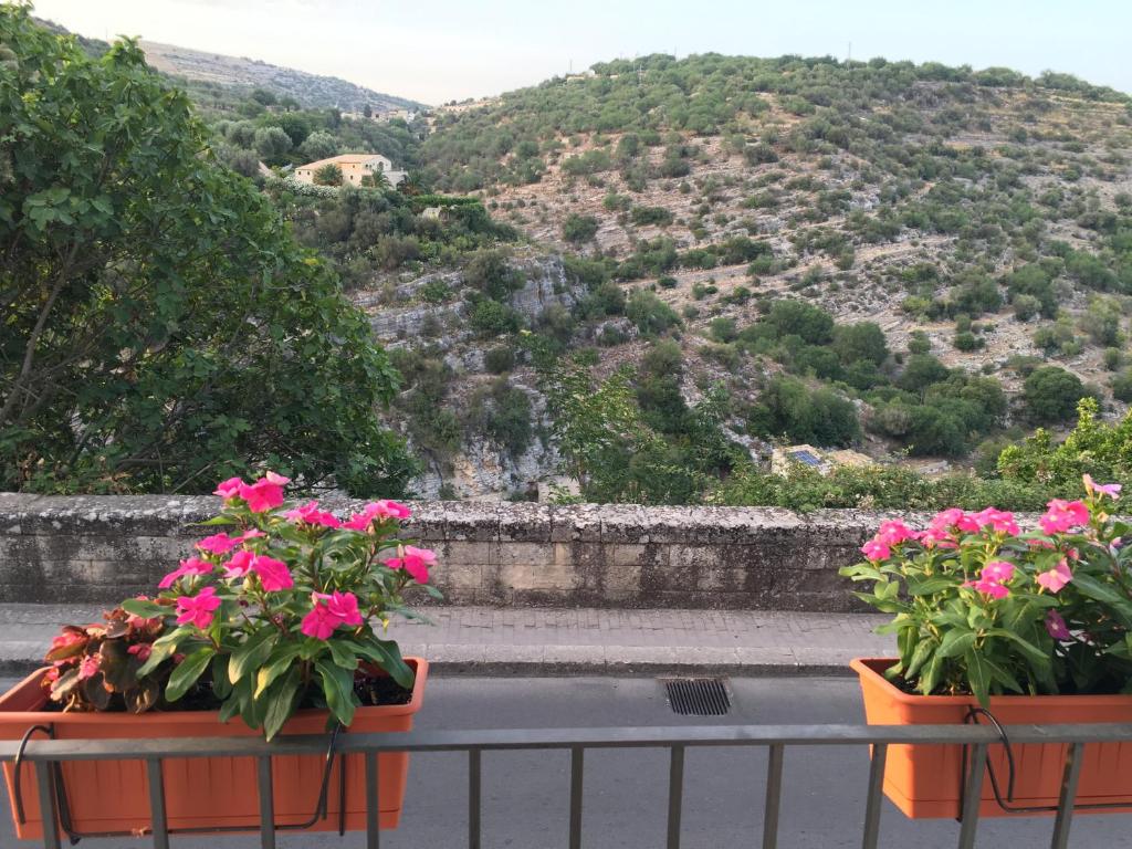 twee potten roze bloemen op een reling met een berg bij Antico Mercato in Ragusa