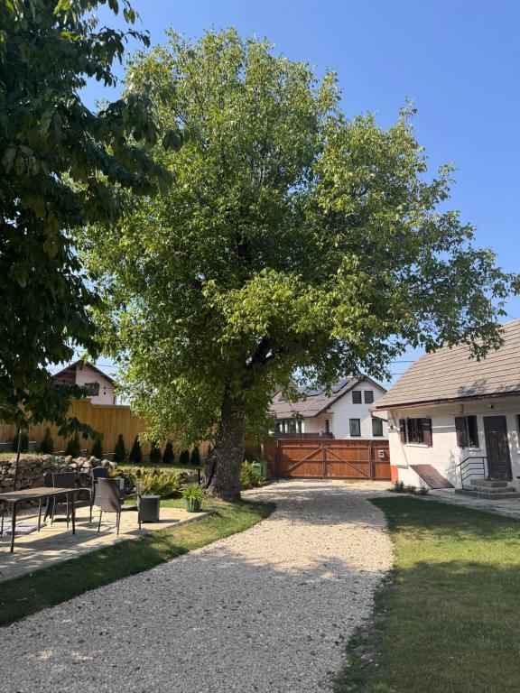 a tree in a yard next to a house at SIM House & Barn in Săcele