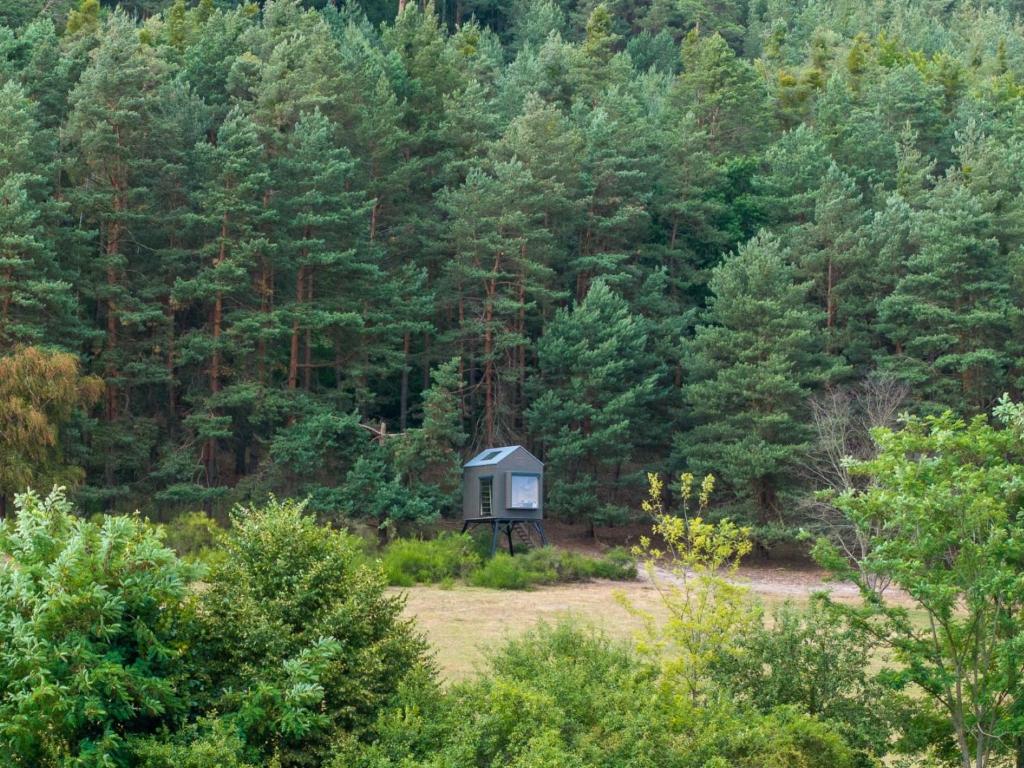 a small cabin in the middle of a forest at Chalet Glamping Sokolka by Interhome in Branžež
