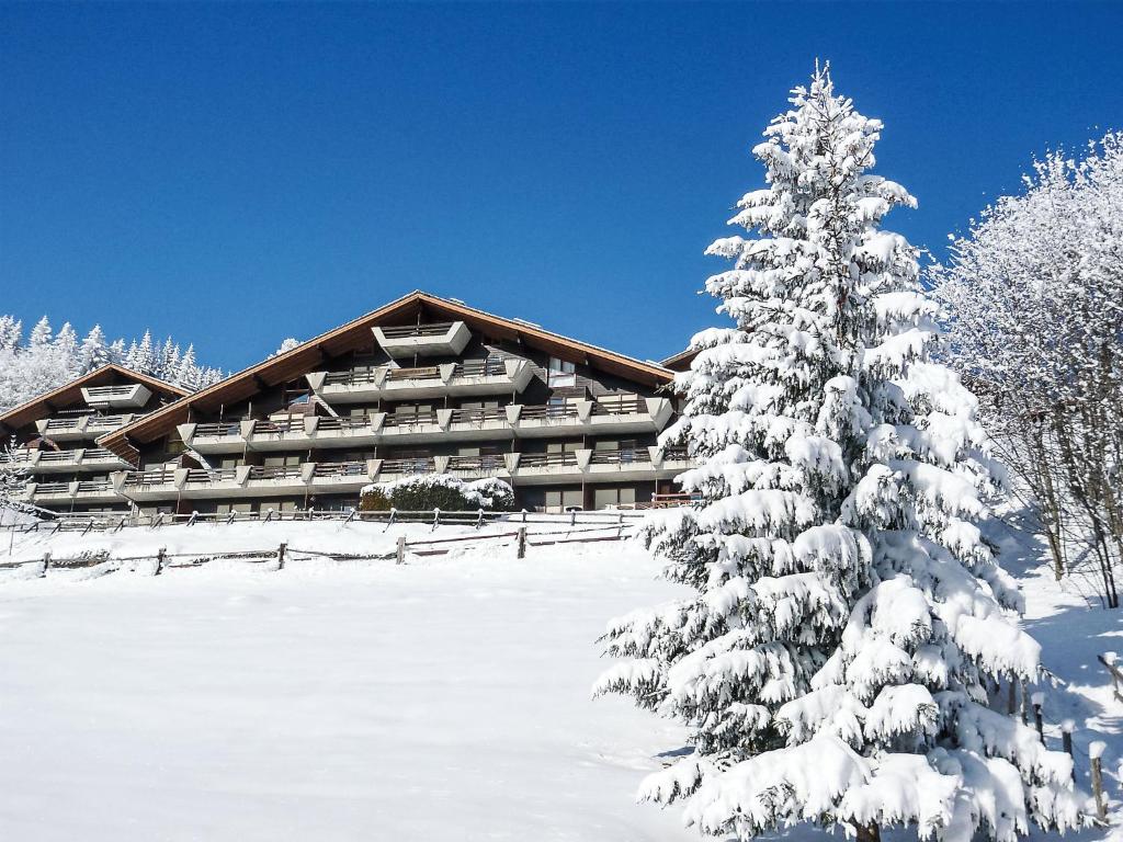 a snow covered pine tree in front of a lodge at Apartment Centaure-4 by Interhome in Les Rasses